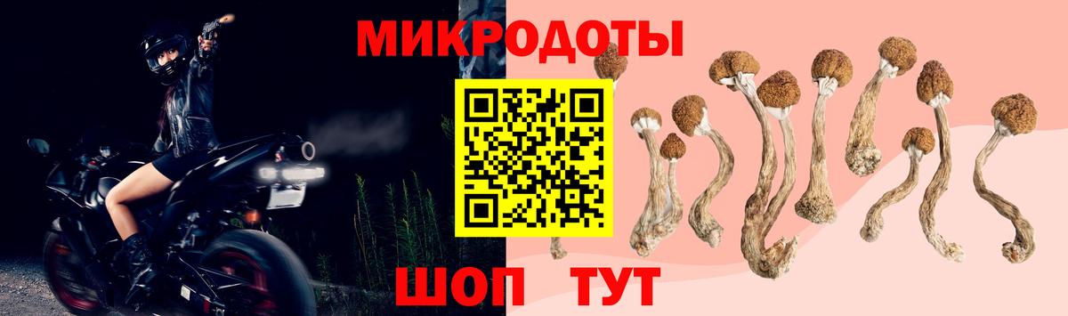 Галлюциногенные грибы Magic Shrooms  Псилоцибиновые грибы GOLDEN TEACHER  купить наркотики цена  Вход с VPN  Минусинск 